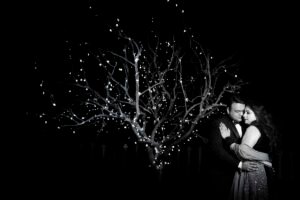 best wedding photographer in Delhi ncr, Ensuring Quality and Trust: The Role of Professional Photographers for Weddings